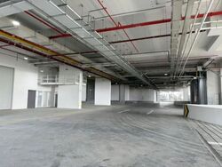 Ct Foodnex (D25), Factory #573563821